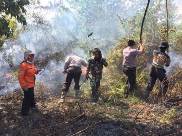 (Ilustrasi) Petugas melakukan pemadaman api saat terjadi peristiwa kebakaran hutan | Dok. Tribata