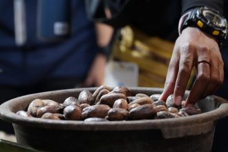 Salah satu komoditas rempah nusantara | dok/photo: Humas Kemendikbud