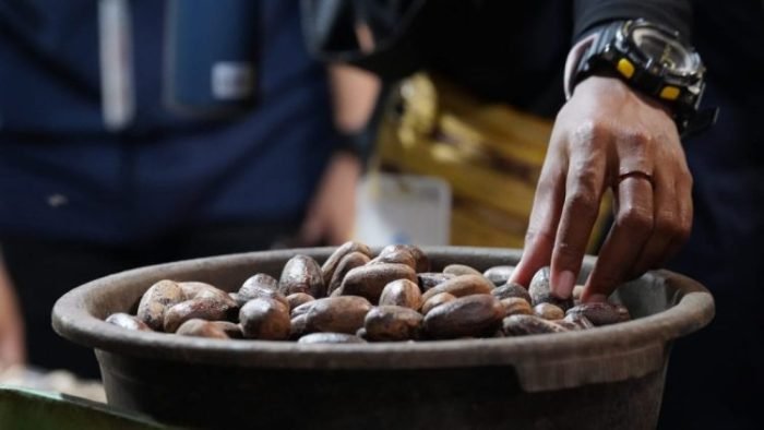 Salah satu komoditas rempah nusantara | dok/photo: Humas Kemendikbud