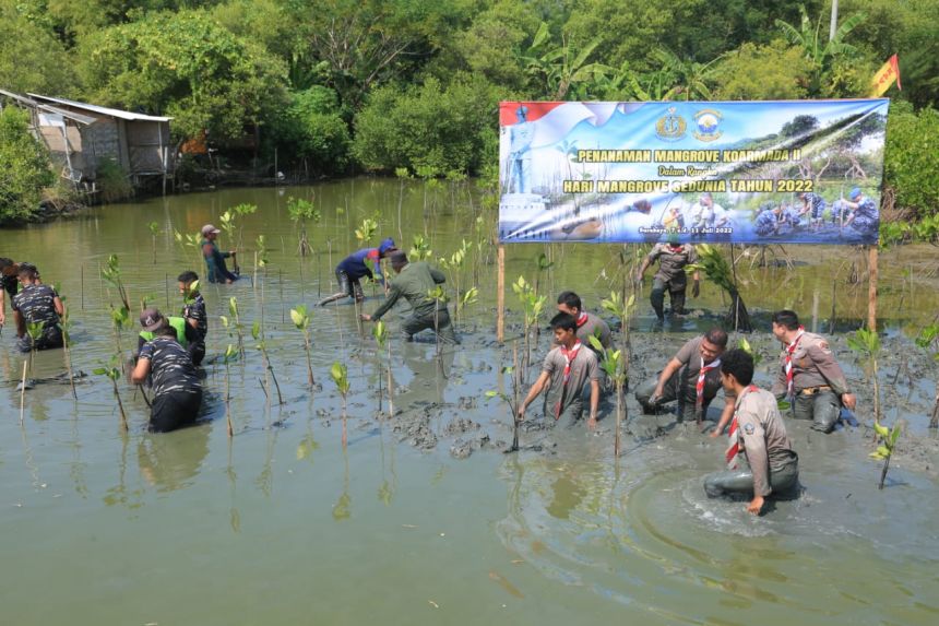 Penanaman 10.000 bibit Mangrove di hutan Mangrove Medokan Ayu, Kota Surabaya | dok/photo: Dispen Koarmada II
