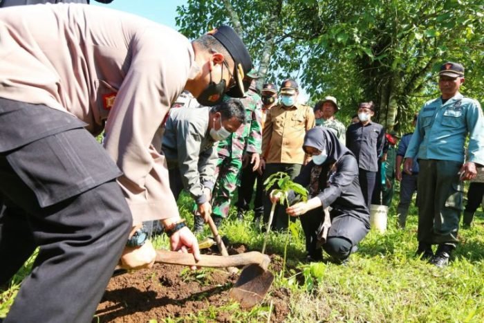 Penanaman pohon di area menuju Taman Wisata Alam (TWA) Kawah Ijen | dok/photo: Pemkab Banyuwangi