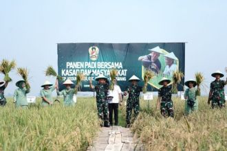 Panen padi bersama Kasad dan masyarakat di Kabupaten Karawang, Jawa Barat | dok/photo: Dispenad