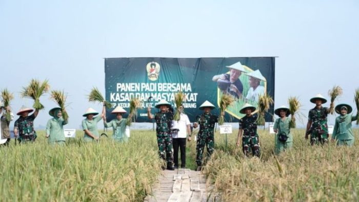 Panen padi bersama Kasad dan masyarakat di Kabupaten Karawang, Jawa Barat | dok/photo: Dispenad