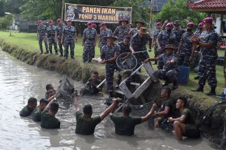 Panen raya ikan Patin, Gurami dan Nila di kolam Batalyon Infanteri 3 Marinir | dok/photo: Dispen Kormar