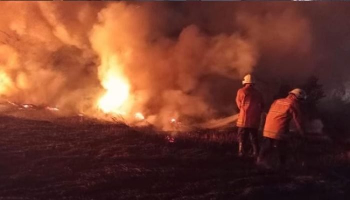 Peristiwa kebakaran lahan terbuka di Kota Surabaya, Jawa Timur | dok/photo: Pemkot Surabaya