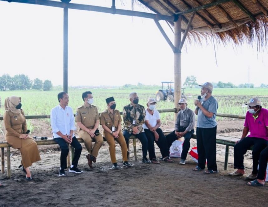 Presiden Jokowi berdialog bersama petani tebu di Kebun Tebu Temu Giring, Kabupaten Mojokerto, Jawa Timur, Jumat (04/11/2022) | dok/photo: BPMI Setpres
