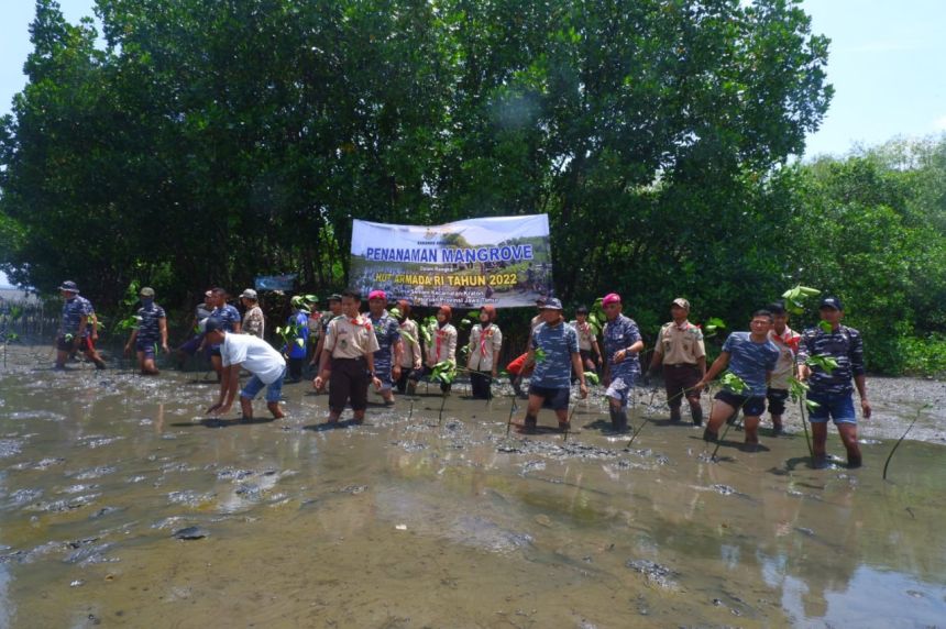 Kegiatan penanaman 10.000 mangrove di Kabupaten Pasuruan | dok/photo: Dispen Koarmada II