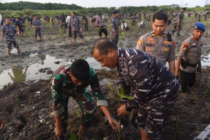 Penanaman magrove di Dermaga Semampir Baru, Koarmada II | dok/foto: Dispen Koarmada II