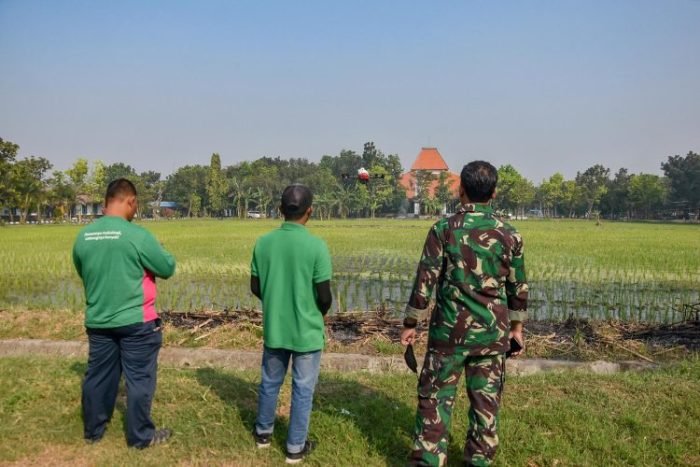 Proses pemupukan padi menggunakan drone | dok/foto: Dispen Kormar