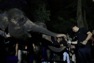 Trial Opening Surabaya Night Zoo, Minggu malam (22/5/2023) | dok/foto: Diskominfo Surabaya