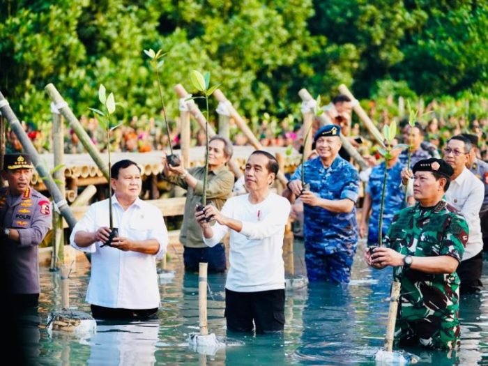 Presiden Joko Widodo saat menghadiri Puncak Penanaman Mangrove Nasional di Taman Wisata Alam (TWA) Angke Kapuk, Jakarta, Senin, 15 Mei 2023 | dok/foto: BPMI Setpres