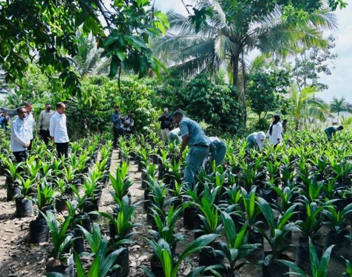 Presiden Jokowi saat meninjau SMK Pertanian Pembangunan Negeri (PPN) 1 Kualuh Selatan, Labuhanbatu Utara, Sumatera Utara | dok/foto: BPMI Setpres