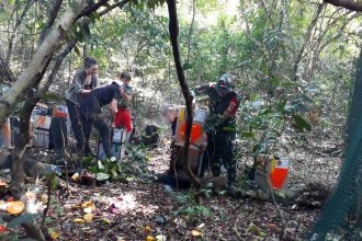 Proses pelepasliaran satwa dilindungi di Pulau Nusa Barung, Kecamatan Puger, Jember, Jawa Timur, Sabtu (15/07/2023) | Kredit foto: Dispen Kormar