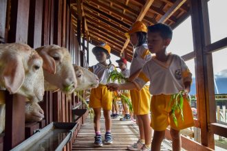 Anak-anak saat berkunjung di Mini Agrowisata DKPP Surabaya | dok/foto: Pemkot Surabaya