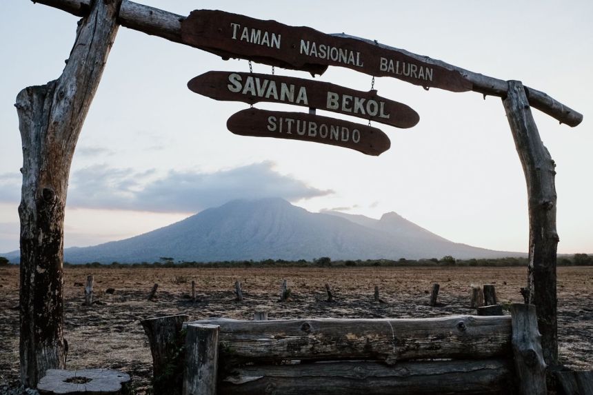 Desa Wisata Kebangsaan Wonorejo merupakan salah satu desa penyangga Taman Nasional Baluran | Kredit Foto: Kemenparekraf