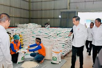 Presiden Joko Widodo meninjau ketersediaan stok cadangan beras pemerintah (CBP) di gudang Bulog Dramaga, Kabupaten Bogor, Jawa Barat, Senin, 11 September 2023 | Kredit Foto: BPMI Setpres