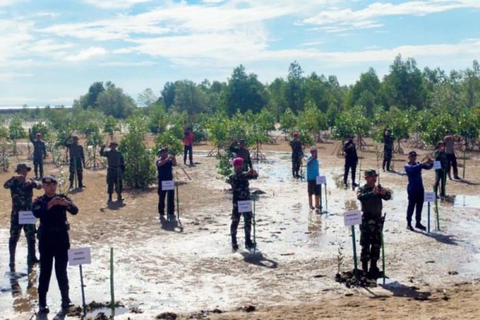 Penanaman mangrove di pesisir pantai Desa Tanjung Aru, Kecamatan Sebatik Timur, Nunukan, Kalimantan Utara, Kamis (14/12/2023) | dok/foto: Dispen Kormar