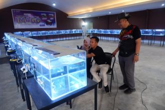 Rangkaian acara Ikan Hias dan Maggot (IMAGO) FAIR 2023 di Depok, Jawa Barat | Source: Humas BPPSDM