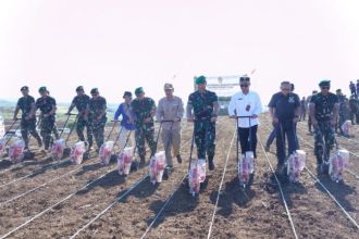 Penanaman jagung agrosolution perdana di Desa Ciemas, Sukabumi, Jawa Barat, Rabu (20/12/2023) | dok/foto: Dispenad