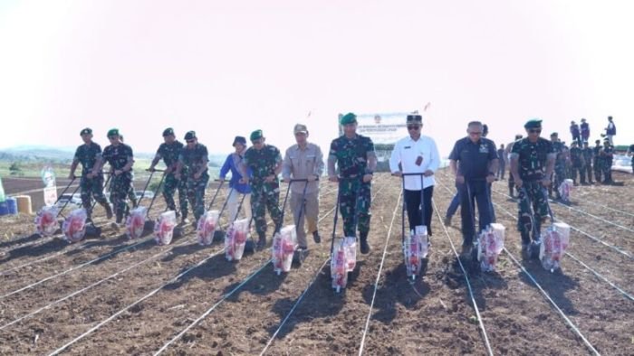 Penanaman jagung agrosolution perdana di Desa Ciemas, Sukabumi, Jawa Barat, Rabu (20/12/2023) | dok/foto: Dispenad