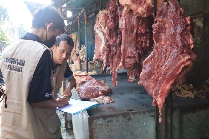 Tim dari PD Rumah Potong Hewan (RPH) Kota Surabaya saat melakukan monitoring daging sapi | dok/foto: Istimewa