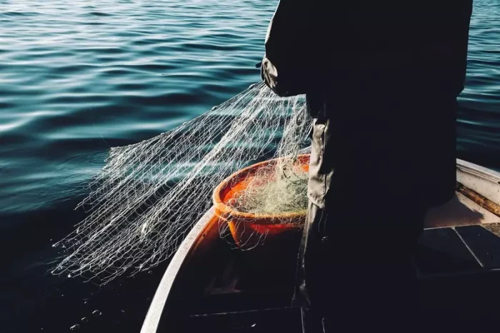 Ilustrasi penangkapan ikan di laut | Source: Unsplash
