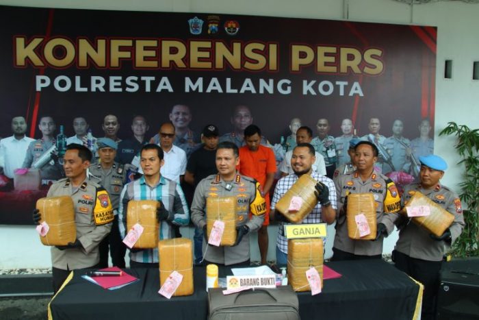 Polresta Malang Kota, Polda Jawa Timur, menggelar konferensi pers ungkap kasus penggagalan peredaran ganja | dok/foto: Hum/Res