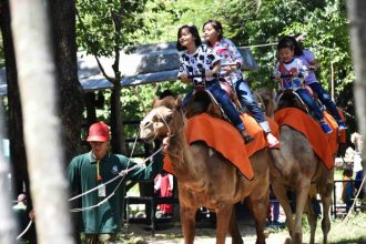 Wahana naik Unta di Kebun Binatang Surabaya (KBS) | dok/foto: PDTS KBS