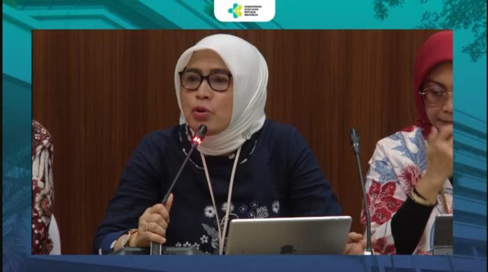 Direktur Pengendalian Penyakit Tidak Menular Kemenkes Eva Susanti saat media briefing Hari Tembakau Sedunia 2024 | dok/foto: YT/Kemenkes