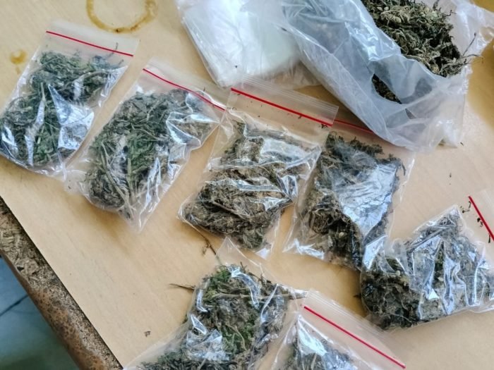 Barang bukti diduga ganja yang berhasil diamankan anggota Unit Elang Satlantas Polrestabes Surabaya | dok/foto: Istimewa