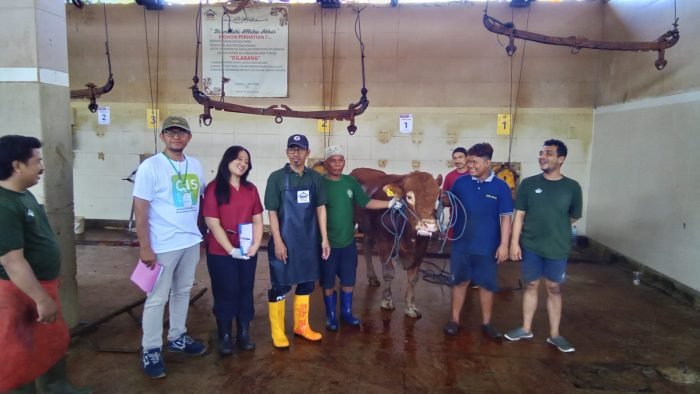 Hewan kurban sapi PDAM Surya Sembada saat akan disembelih di Rumah Potong Hewan (RPH) Surabaya | Foto: dok. PDAM Surya Sembada