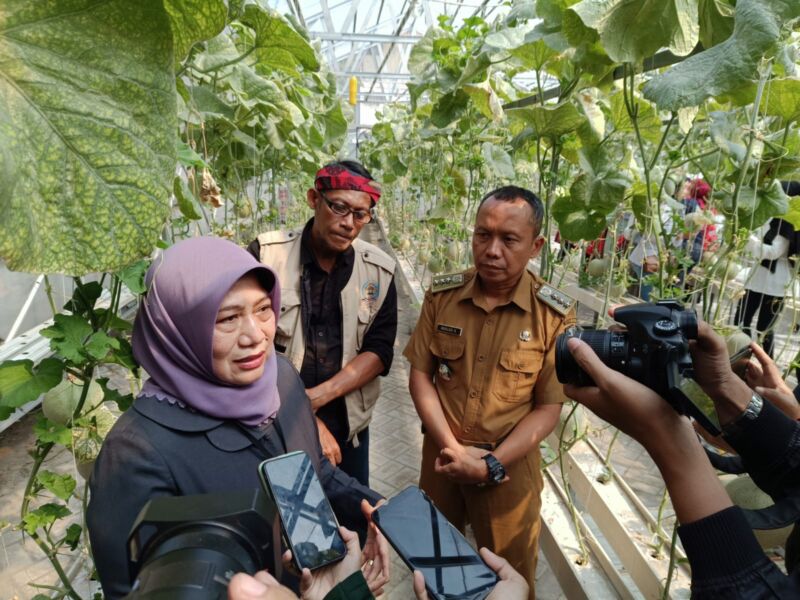 Kepala Dinas Ketahanan Pangan dan Pertanian (DKPP) Kota Surabaya, Antiek Sugiharti | Foto: Istimewa