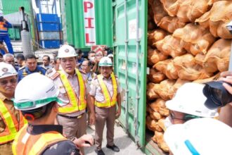 Pelepasan ekspor perdana kelapa bulat ke Tiongkok yang berlangsung di Kendari New Port, Senin (19/8/2024) | Foto: dok. Hum/Barantin