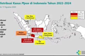 Distribusi Kasus Mpox di Indonesia Tahun 2022-2024 | Source: Yt/Kemenkes RI