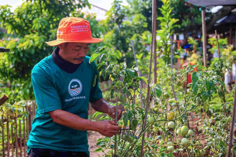 Bantuan pupuk dan bibit tanaman berasal dari CSR PT Pupuk Indonesia dan Perumda PAM Jaya | Foto: Pemprov DKI Jakarta