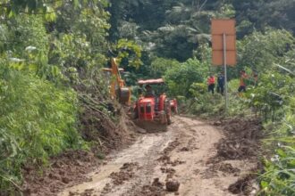 Ilustrasi: Peristiwa tanah longsor di Desa Pulau Panggung, Kecamatan Semende Darat Laut, Kabupaten Muara Enim, Sumatra Selatan, Sabtu (15/6/2024) malam | Foto: dok. BPBD Muara Enim