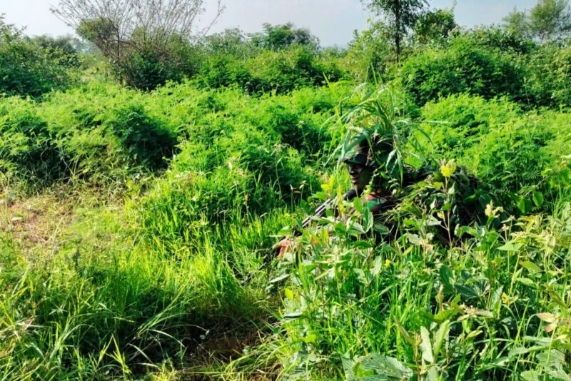 Latihan menembak sniper TNI AL berlangsung dari tanggal 2-14 Februari 2025 di Puslatpurmar Grati, Pasuruan | Sumber Foto: dok. Dispen Kormar