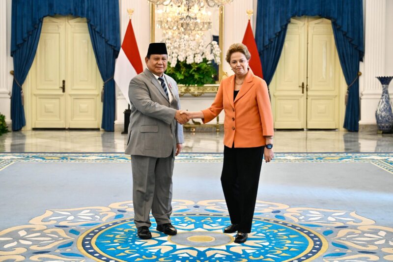 Presiden Prabowo Subianto saat menggelar pertemuan dengan Presiden NDB Dilma Vana Rousseff di Istana Merdeka, Jakarta, Selasa, 25 Maret 2025 | Sumber Foto: Biro Pers Setpres