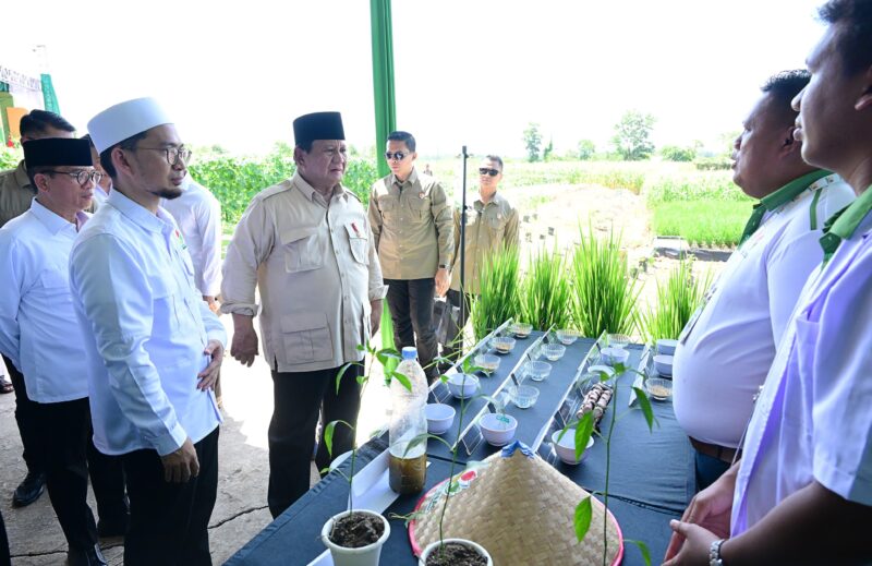 Presiden Prabowo Subianto dalam acara peluncuran program Gerakan Indonesia Menanam (Gerina) di Kabupaten Banyuasin, Provinsi Sumatra Selatan, Rabu (23/4/2025) | Sumber Foto: Biro Pers Setpres