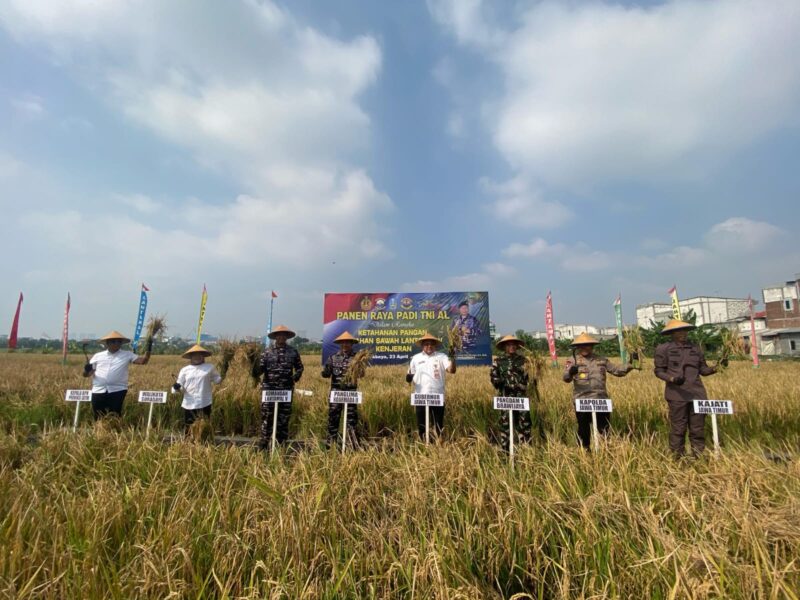 Kegiatan tanam dan panen raya padi di Kenjeran, Sukolilo Baru, Kecamatan Bulak, Surabaya pada Rabu (23/4/2025) | Sumber Foto: Pemkot Surabaya