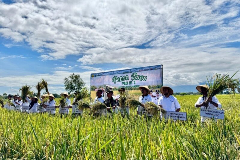 dok. Panen raya sekaligus tanam padi serentak di Desa Purwosari, Kecamatan Babadan, Kabupaten Ponorogo, Rabu (23/4/2025) | Sumber Foto: DPKPP Ponorogo