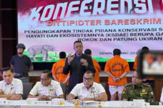 Konferensi pers terkait kasus penjualan gading gajah ilegal yang digelar di Gedung Bareskrim Polri, Jakarta Selatan, Senin (26/5/2025) | Sumber Foto: Hum Polri