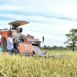 dok. Panen raya padi di Desa Randegan Wetan, Kecamatan Ligung, Kabupaten Majalengka, Senin (7/4/2025) | Sumber Foto: Pemprov Jabar