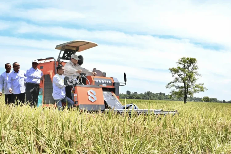 dok. Panen raya padi di Desa Randegan Wetan, Kecamatan Ligung, Kabupaten Majalengka, Senin (7/4/2025) | Sumber Foto: Pemprov Jabar