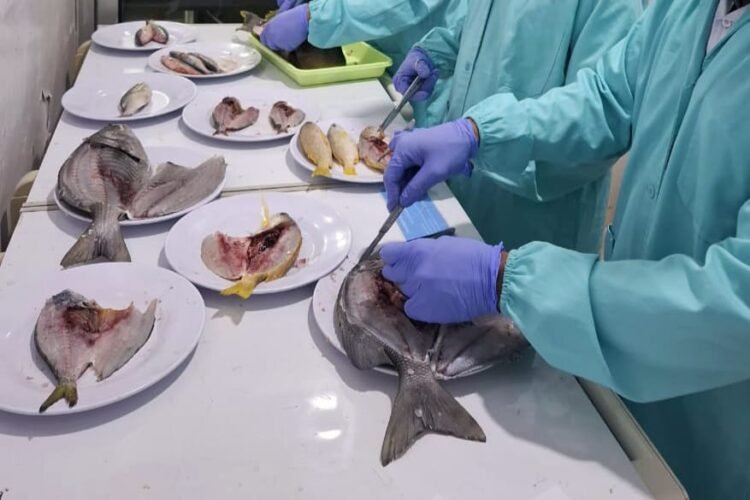 dok. Uji forensik hasil penangkapan ikan dengan bahan peledak oleh Badan Mutu KKP | Sumber Foto: KKP