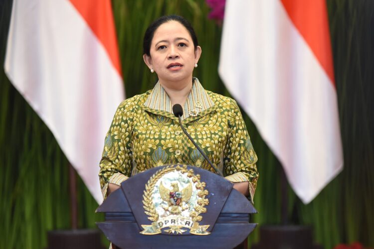 Ketua DPR RI Puan Maharani | Sumber Foto: DPR RI
