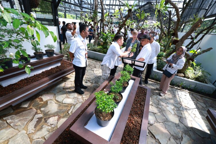 Suasana di dalam Rumah Kaca Hoya Kebun Raya Bogor | Sumber Foto: BRIN