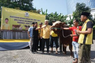 Penyembelihan hewan kurban di kantor DPD Golkar Jawa Timur, Jalan Ahmad Yani No 311, Surabaya, Sabtu (7/6/2025) | Foto: T1/Bicaraindonesia.id