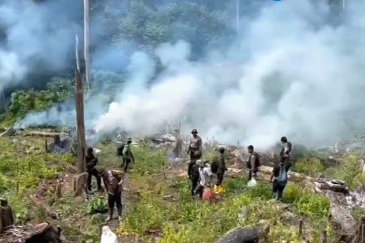 dok. Ladang ganja seluas total 25 hektare yang tersebar di delapan titik di Kabupaten Nagan Raya, Aceh | Sumber Foto: Bareskrim Polri