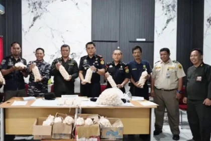 Konferensi pers penggagalan upaya penyelundupan 1.950 telur penyu ilegal di Kalimantan Barat | Sumber Foto: PSDKP KKP
